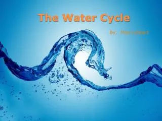 The Water Cycle