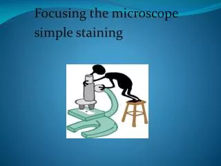 Focusing the microscope simple staining