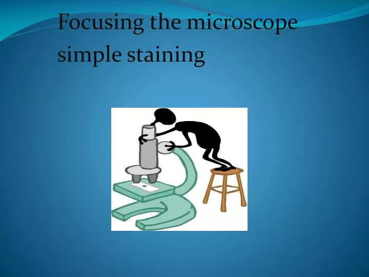 focusing the microscope simple staining