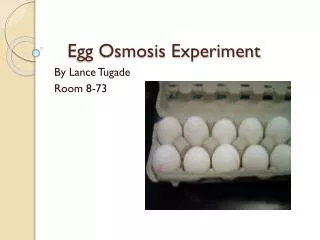 Egg Osmosis Experiment