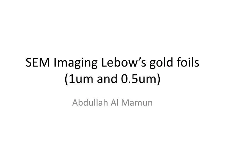 sem imaging lebow s gold foils 1um and 0 5um
