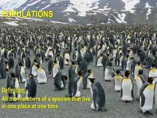 populations