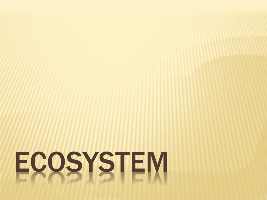 PPT - Ecosystem PowerPoint Presentation, free download - ID:2804457