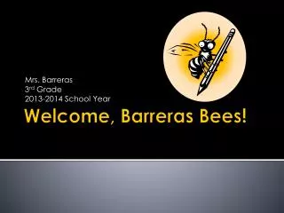 Welcome, Barreras Bees!