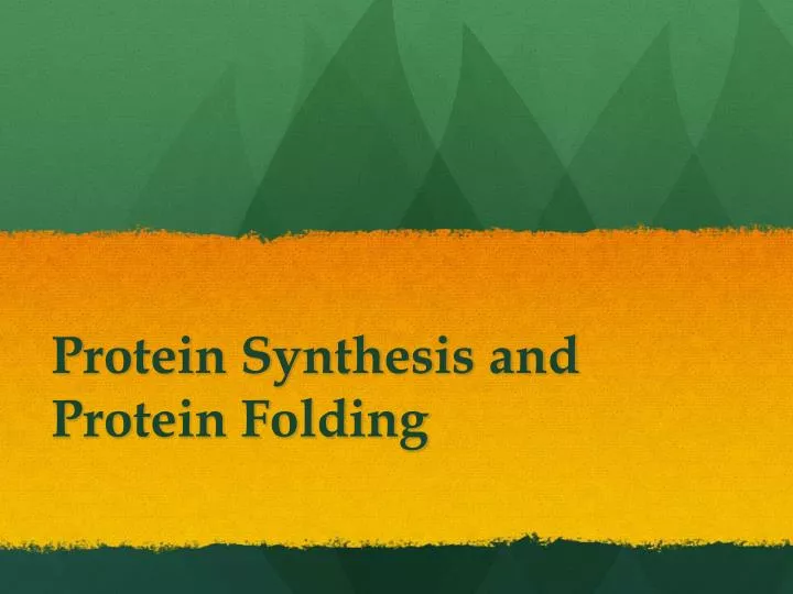 protein synthesis and protein folding