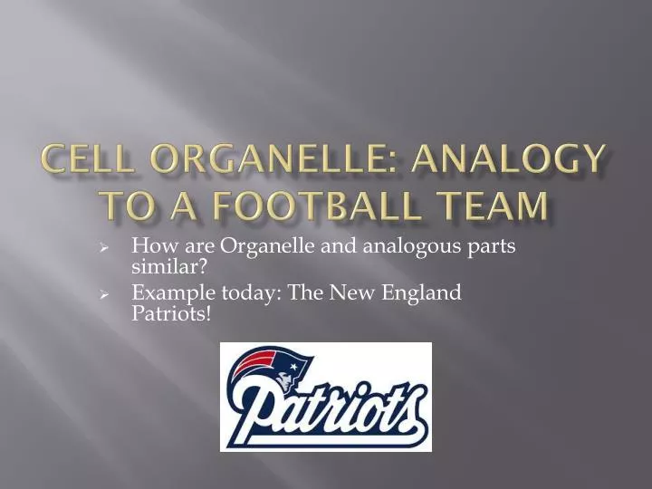 cell organelle analogy to a football team