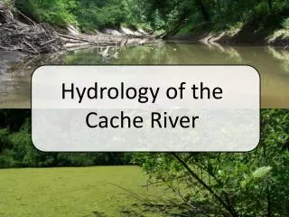 Hydrology of the Cache River