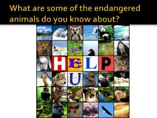 What are some of the endangered animals do you know about?