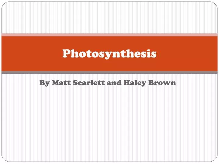 photosynthesis