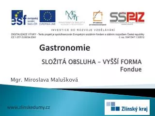slo it obsluha vy forma fondue
