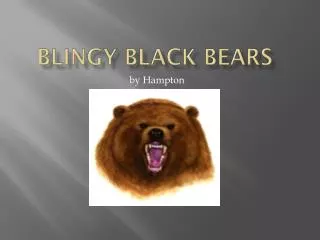 Blingy Black Bears