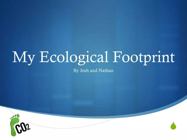 my ecological footprint