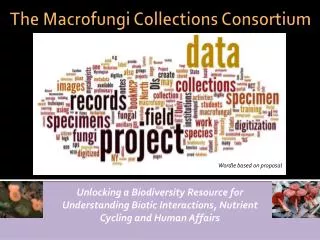 The Macrofungi Collections Consortium