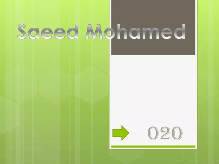 saeed mohamed