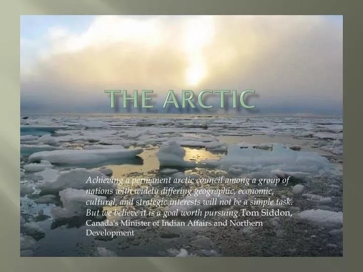 the arctic
