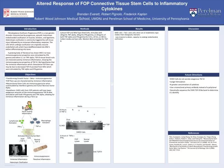 altered response of fop connective tissue stem cells to inflammatory cytokines