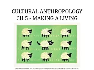 CULTURAL ANTHROPOLOGY CH 5 - MAKING A LIVING
