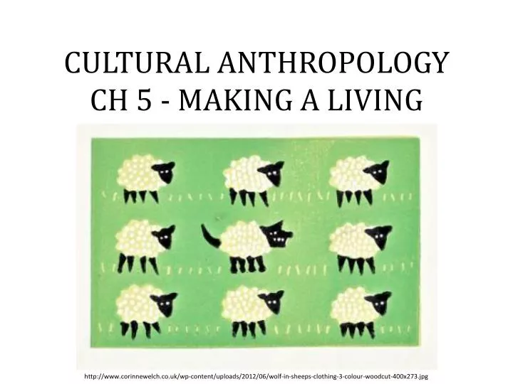 cultural anthropology ch 5 making a living