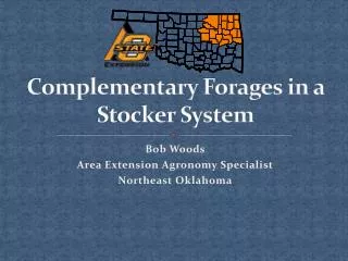 Complementary Forages in a Stocker System