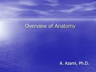 overview of anatomy