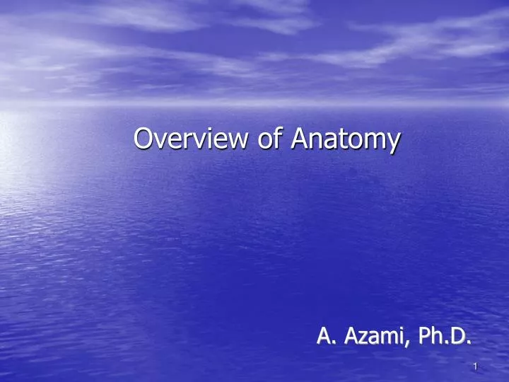 overview of anatomy