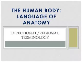 Directional/Regional Terminology