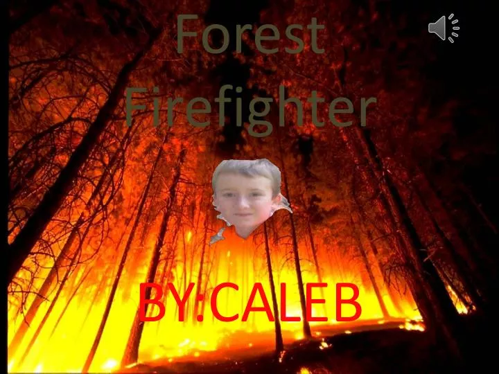 forest firefighter