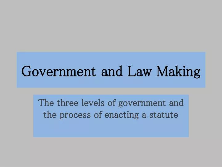 government and law making