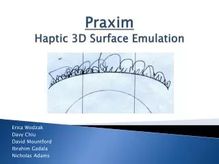 Praxim Haptic 3D Surface Emulation