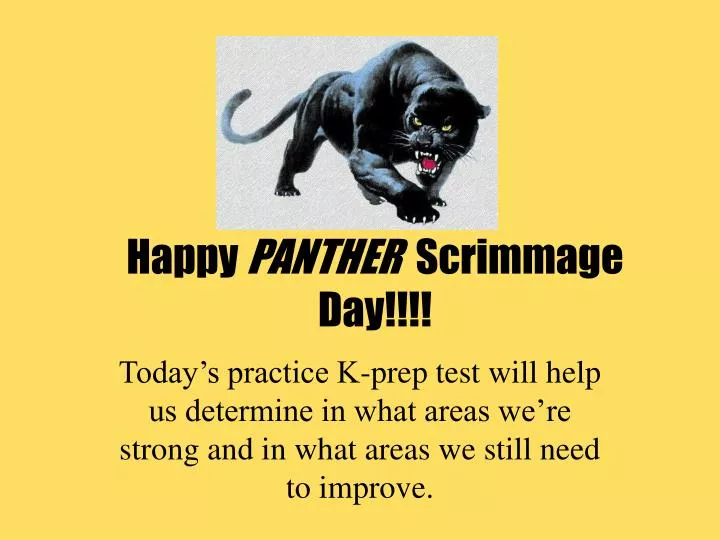 happy panther scrimmage day