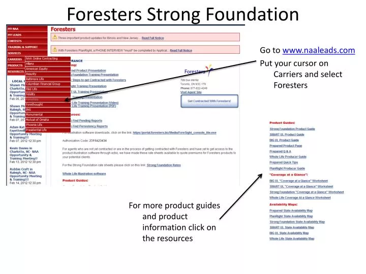 foresters strong foundation