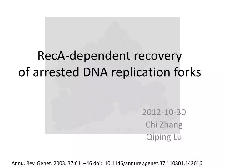 reca dependent recovery of arrested dna replication forks