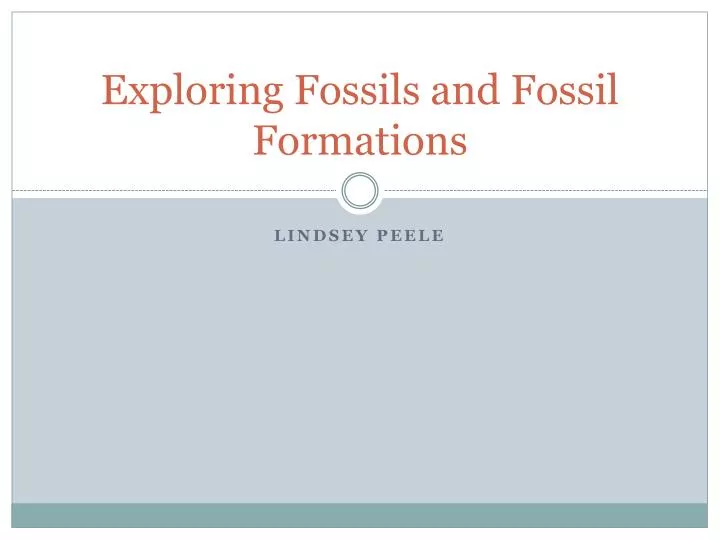 exploring fossils and fossil formations