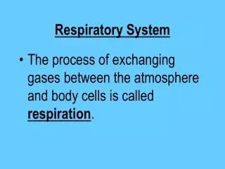 Respiratory System