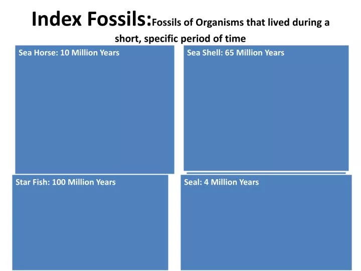 index fossils fossils of organisms that lived during a short specific period of time