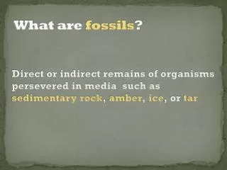 What are fossils ?