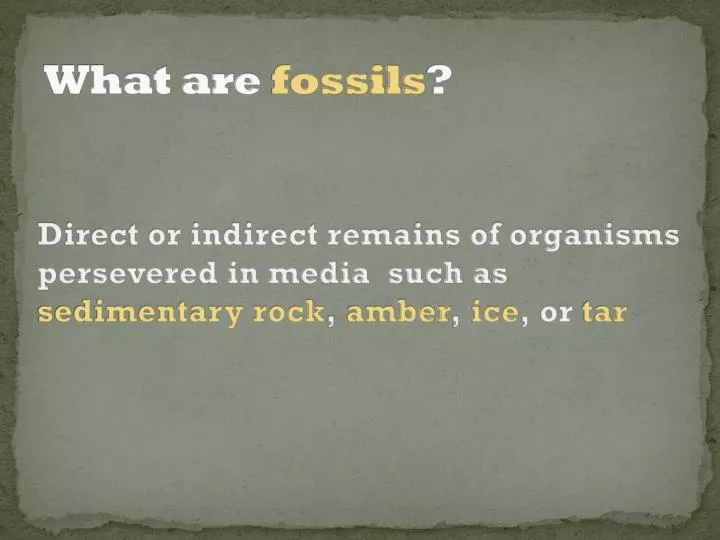 what are fossils