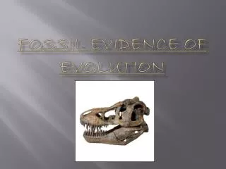 Fossil Evidence of Evolution