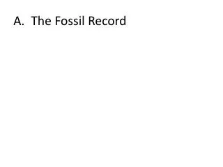 A. The Fossil Record