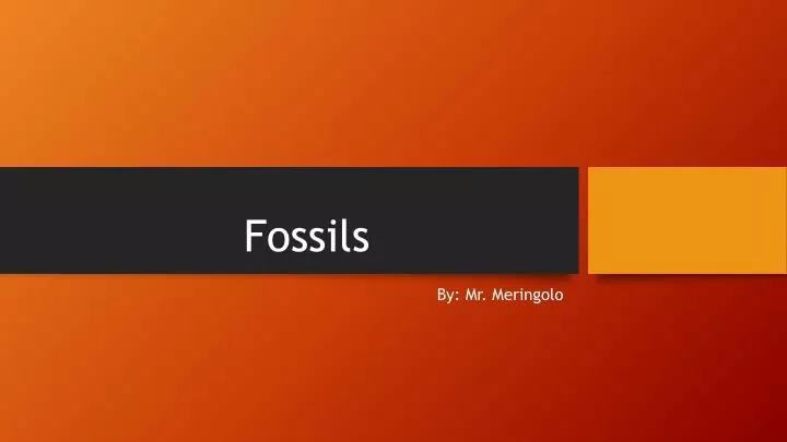 fossils