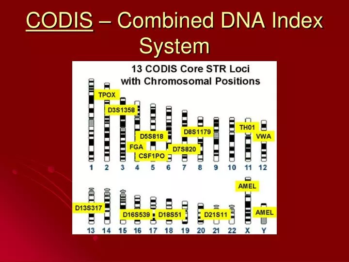 codis combined dna index system
