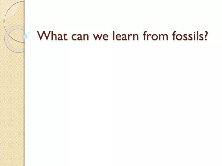 what can we learn from fossils