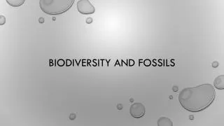Biodiversity and Fossils