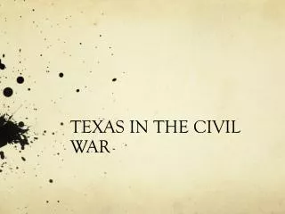 TEXAS IN THE CIVIL WAR