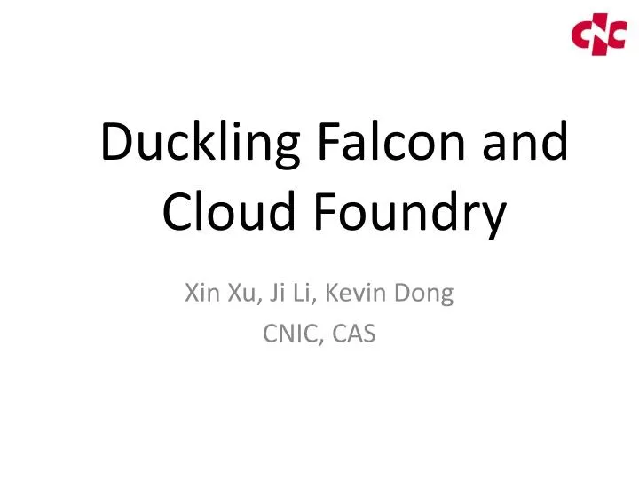 duckling falcon and cloud foundry