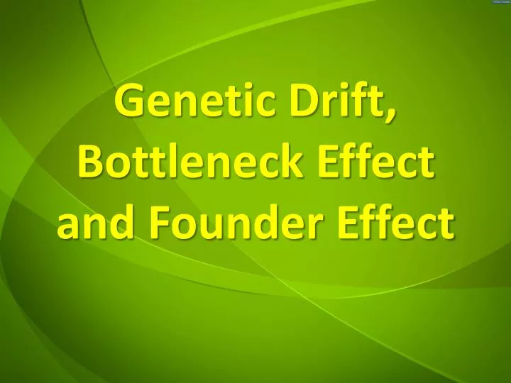 genetic drift bottleneck effect and founder effect