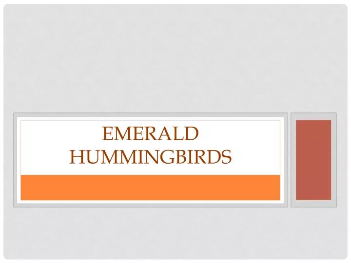emerald hummingbirds