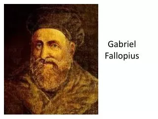 gabriel fallopius