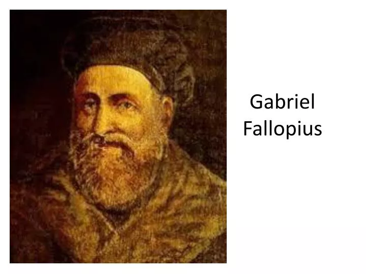 gabriel fallopius
