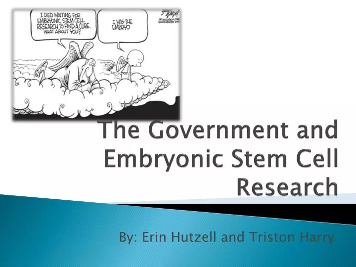 the government and embryonic stem cell research